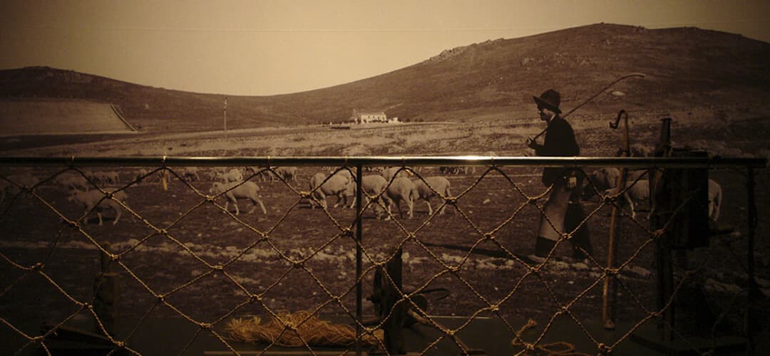 Pastoralia. Centro de Interpretación de la Torta del Casar